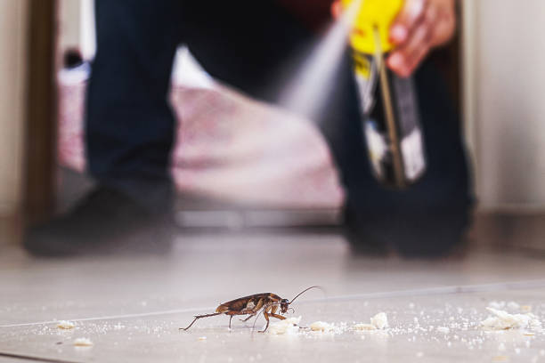 Best Emergency Pest Control  in Milpitas, CA